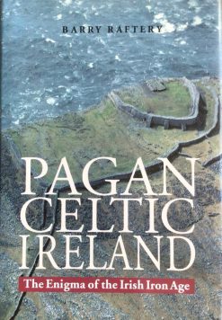 Pagan Celtic Ireland -The Enigma of the Irish Iron Age - Barry Raftery