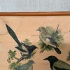 Oude Schoolkaart Bos- en Weidevogels - Afbeelding 2