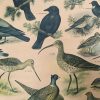 Oude Schoolkaart Bos- en Weidevogels - Afbeelding 6