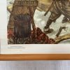 Oude Schoolkaart Behouden Huys op Nova Zembla (1596) - Afbeelding 8