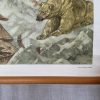 Oude Schoolkaart Behouden Huys op Nova Zembla (1596) - Afbeelding 10