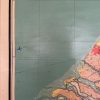 Oude Schoolkaart Nieuwe Wandkaart van Nederland - Afbeelding 8
