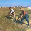Kunstschatten van Oranjewoud - Afbeelding 2