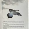 De Ark van Noach - Rien Poortvliet - Afbeelding 2