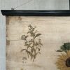 Antieke Botanische Schoolplaat T. IX. - J. Lebègue & Cie - Afbeelding 2