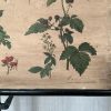 Antieke Botanische Schoolplaat T. VII. - J. Lebègue & Cie - Afbeelding 5